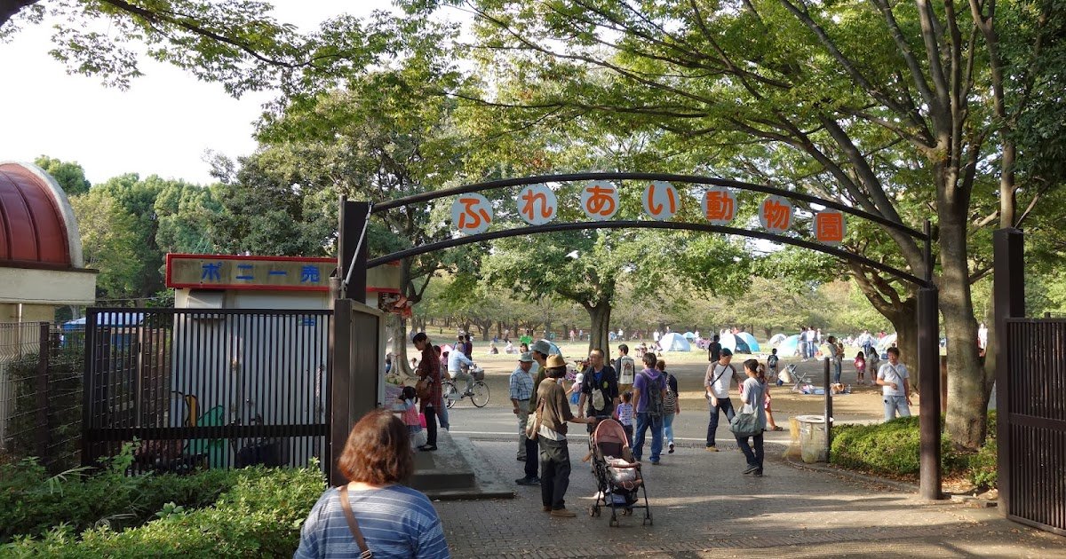 🏞️ 피로야마 공원 (히로야마 공원) 이미지 3